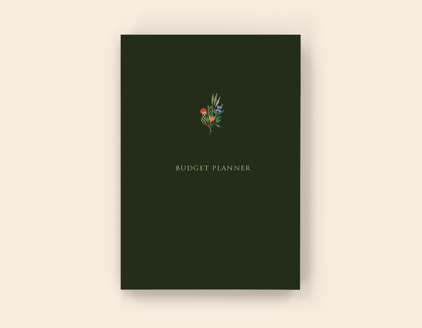 Budget Planner - Paperback