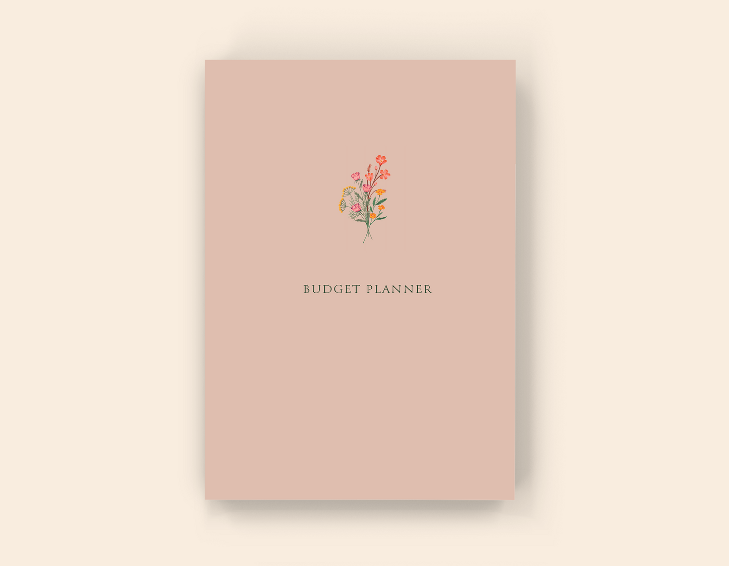 Budget Planner - Paperback