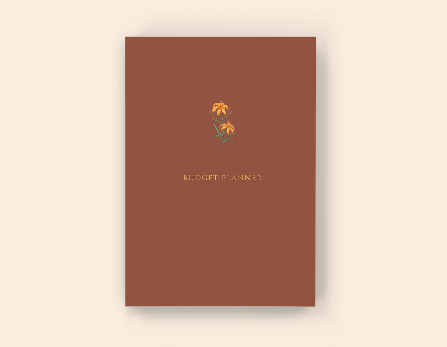 Budget Planner - Paperback