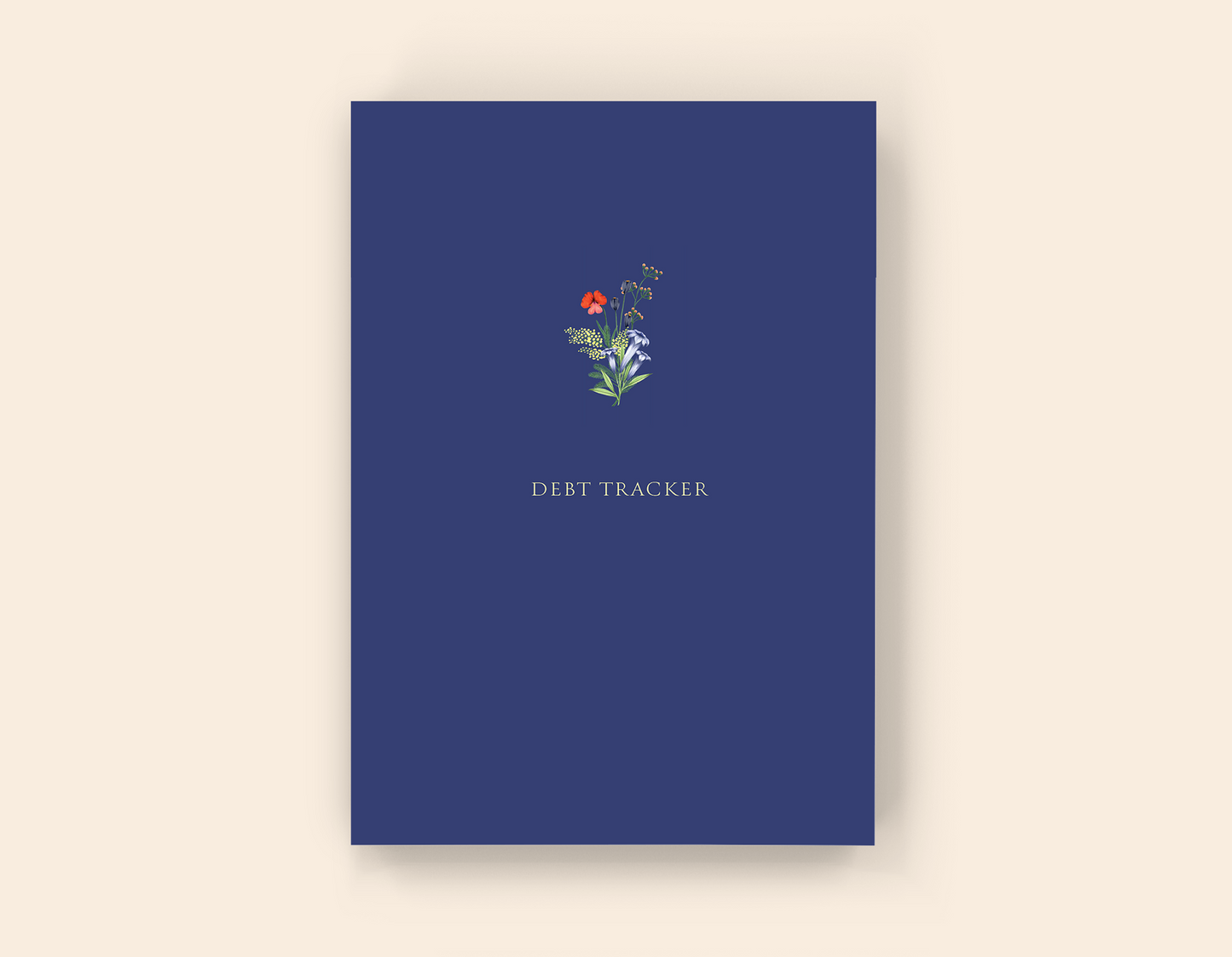 Debt Tracker - Paperback