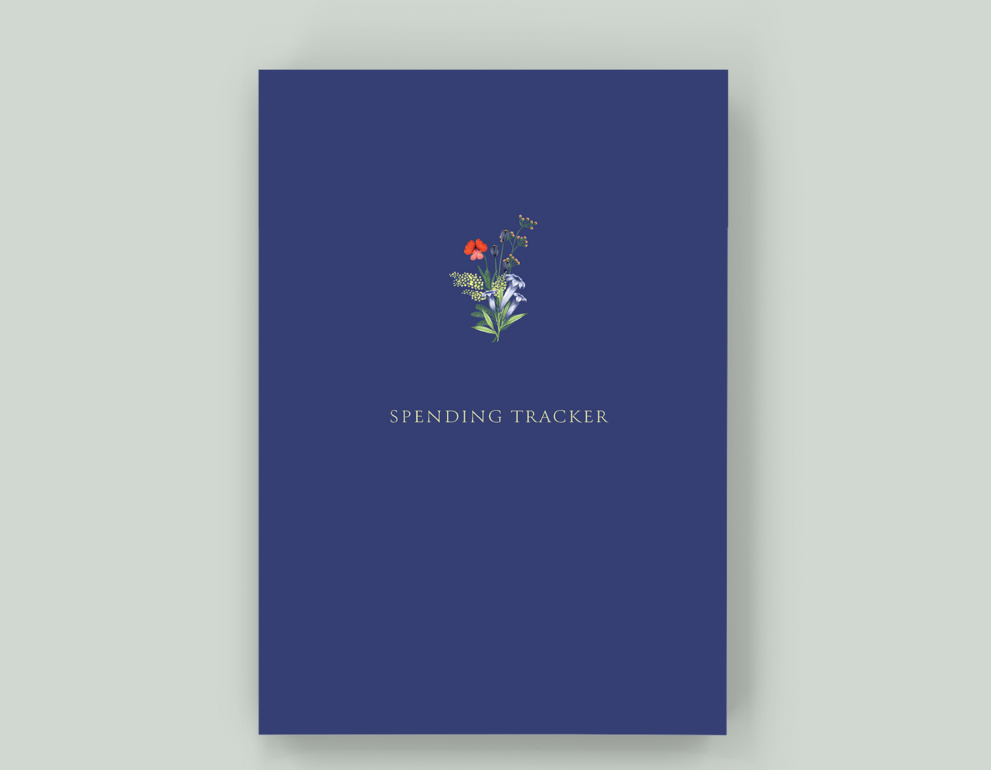 Spending Tracker - Paperback