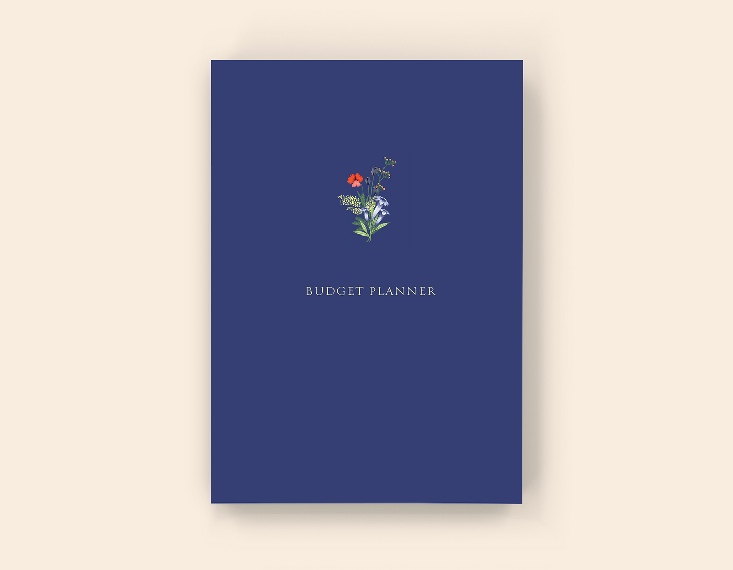 Budget Planner - Paperback