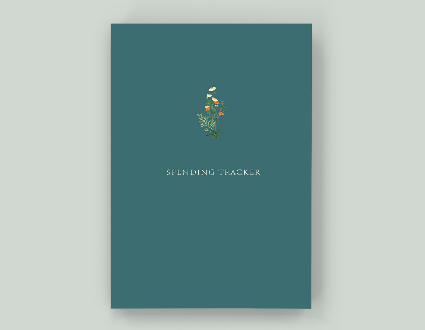 Spending Tracker - Paperback