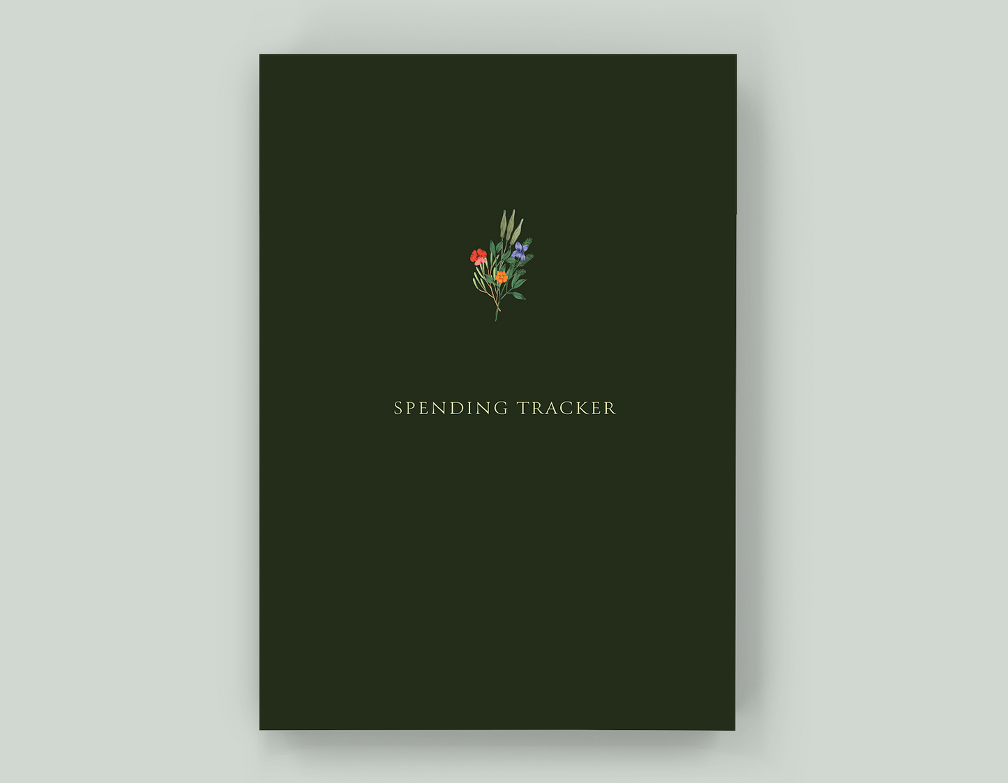 Spending Tracker - Paperback