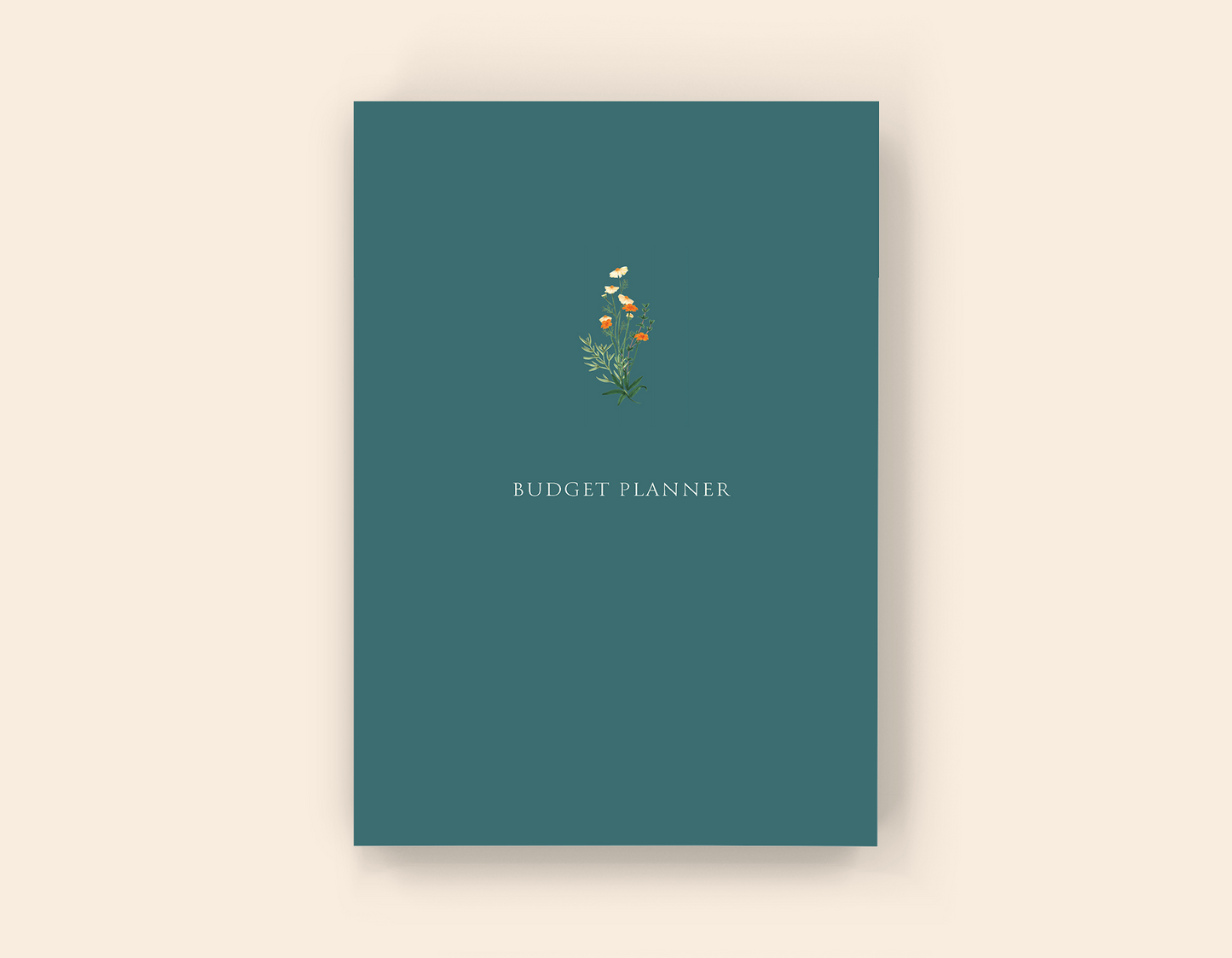 Budget Planner - Paperback