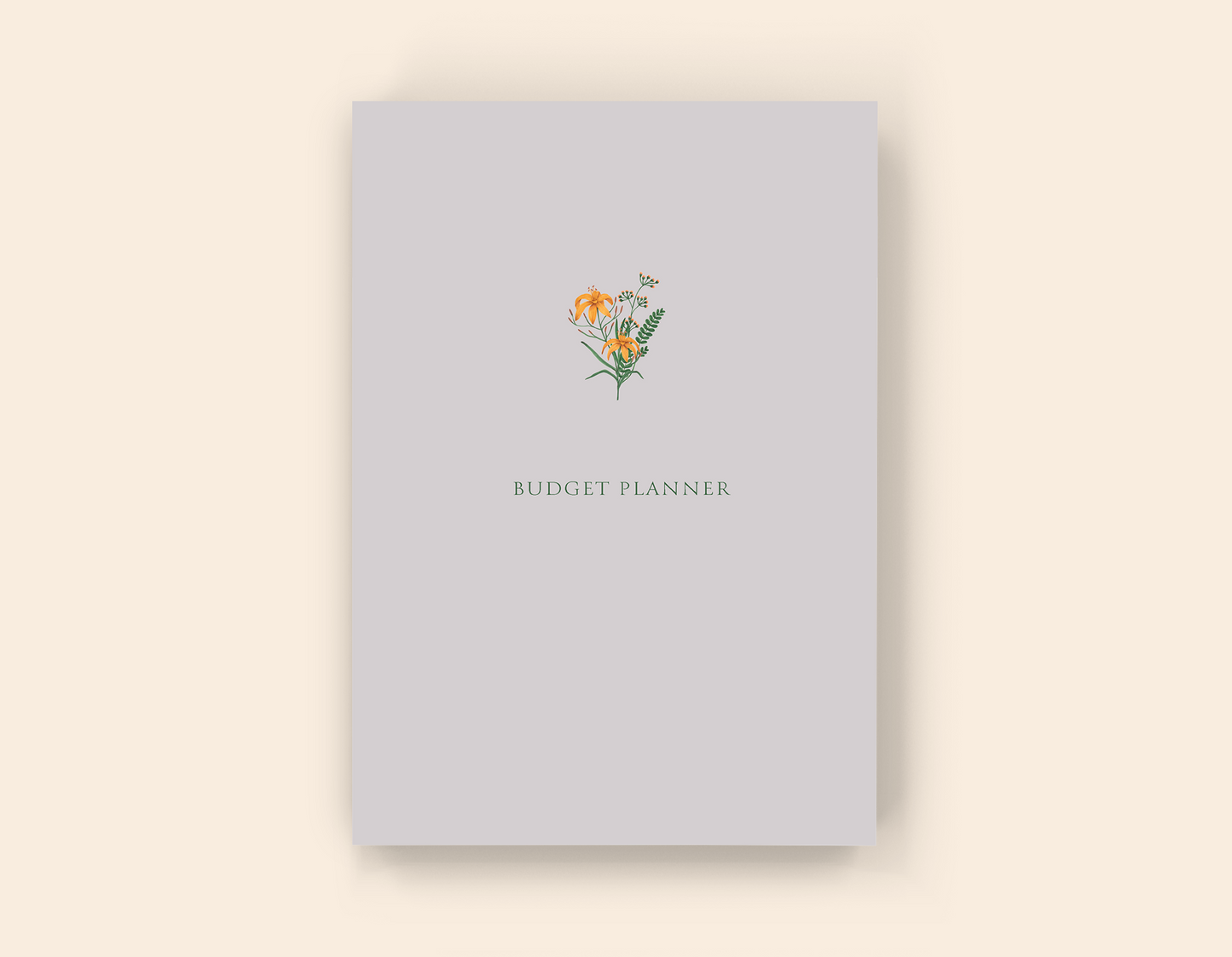 Budget Planner - Paperback