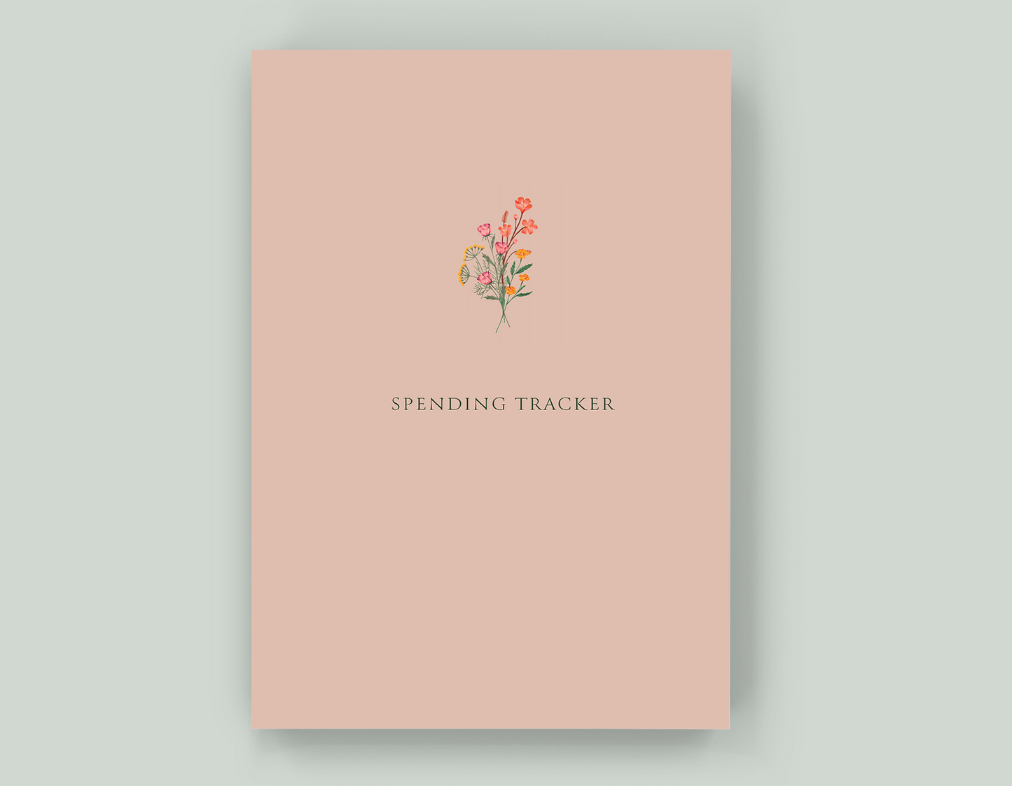 Spending Tracker - Paperback