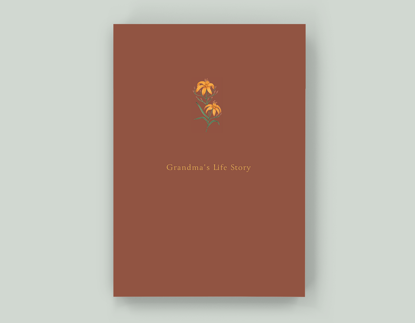 Grandma's Life Story - Paperback