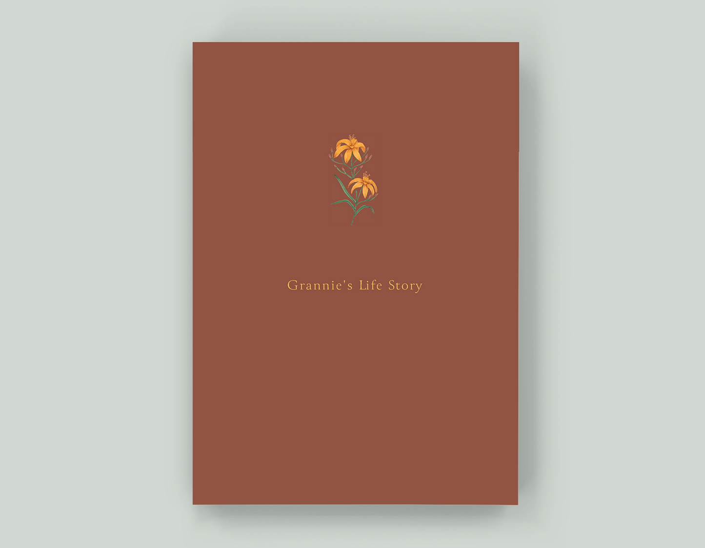 Grannie's Life Story - Paperback