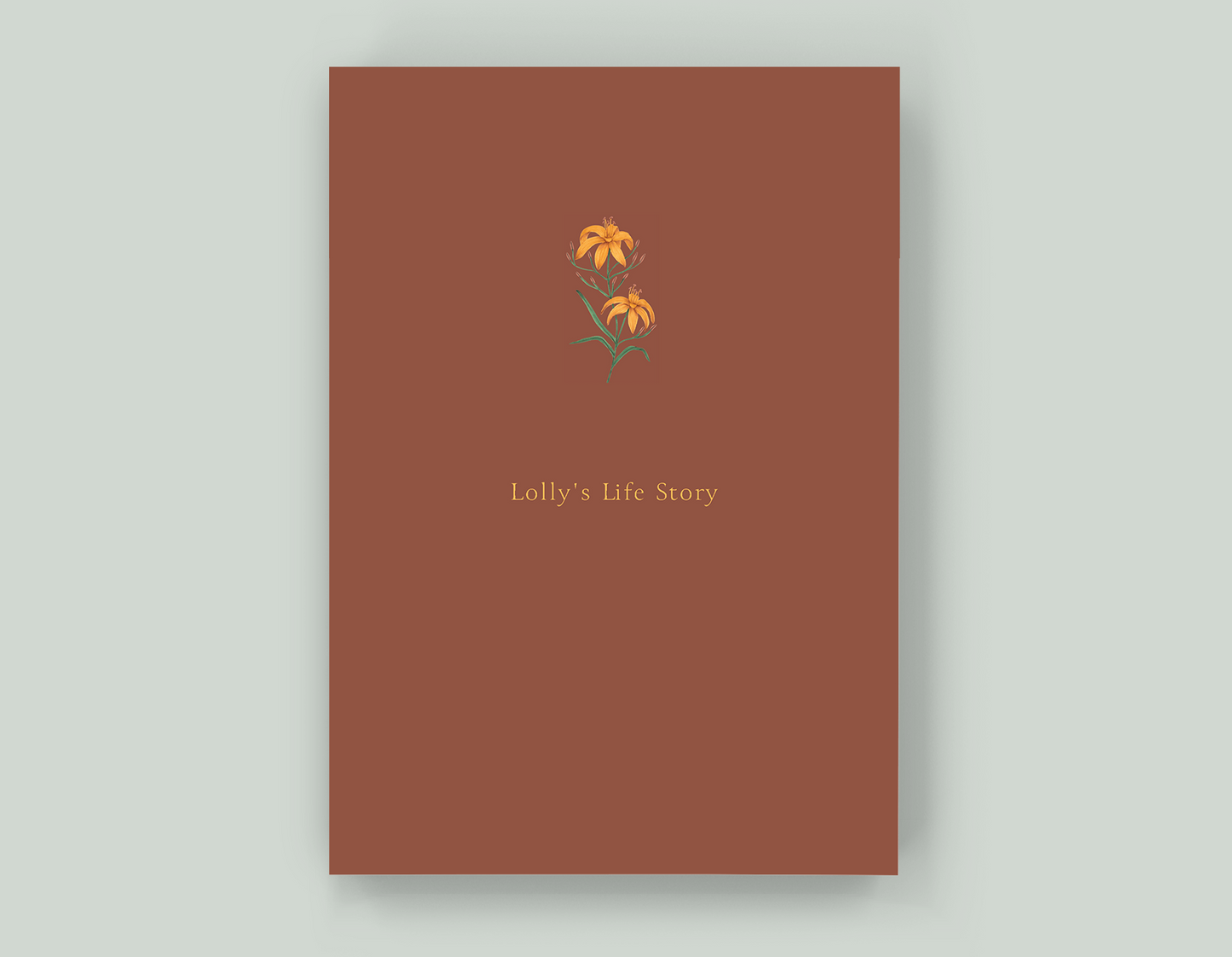 Lolly's Life Story - Paperback