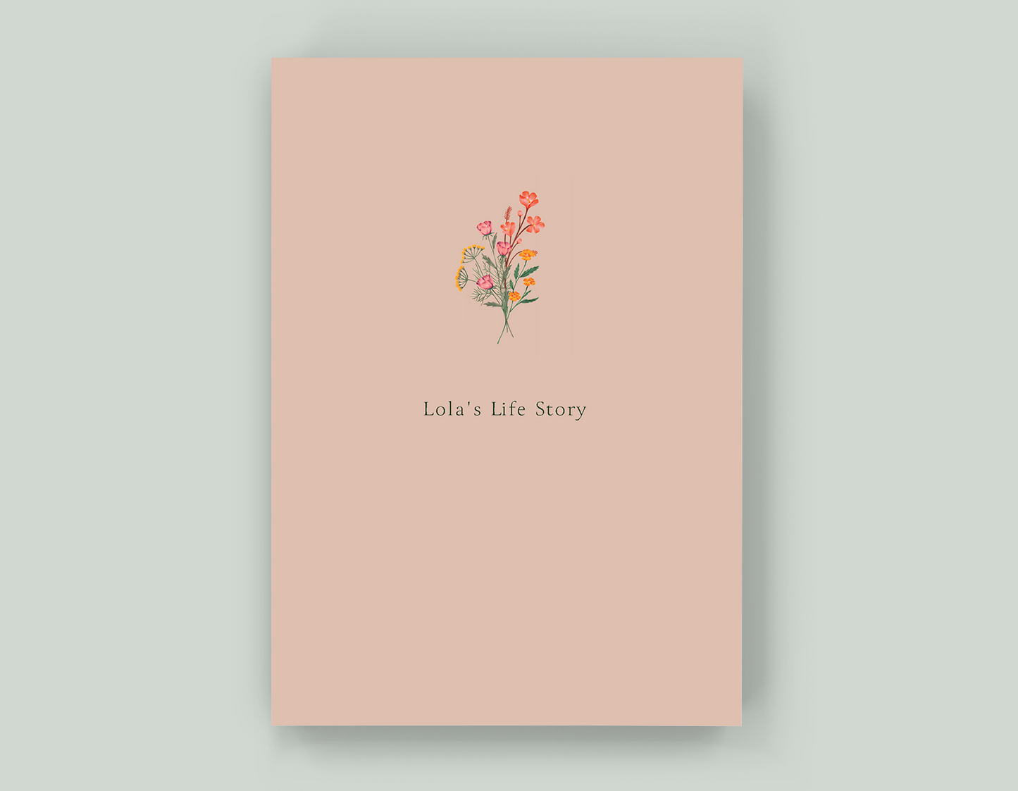 Lola's Life Story - Paperback