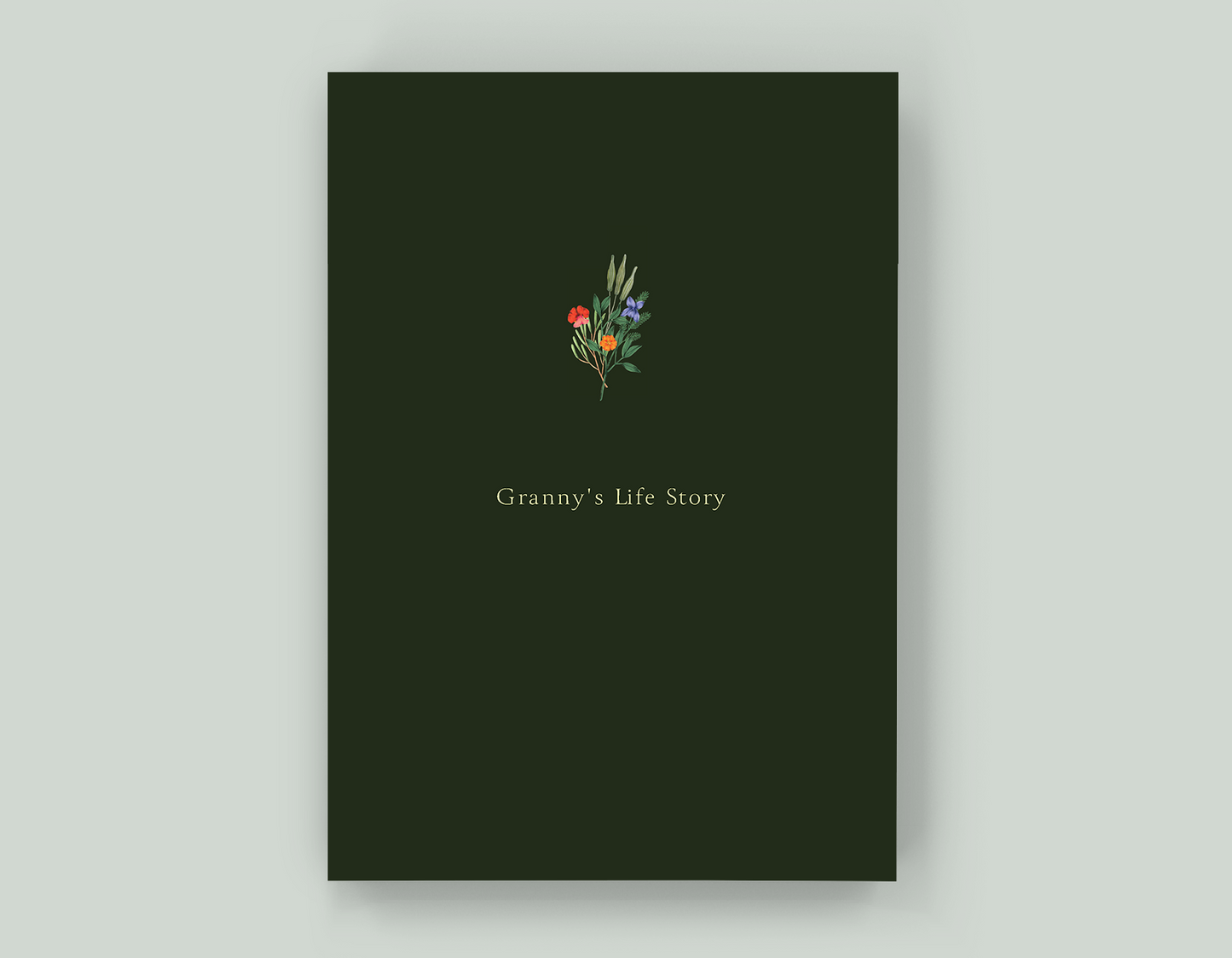 Granny's Life Story - Paperback