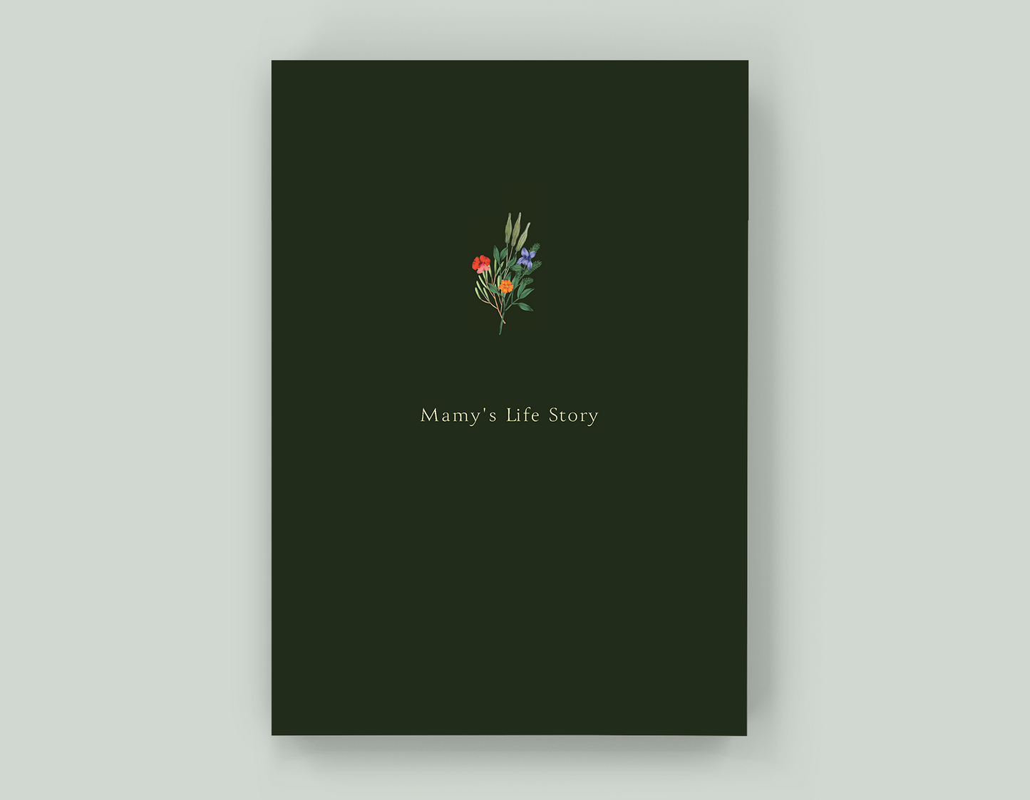 Mamy's Life Story - Paperback