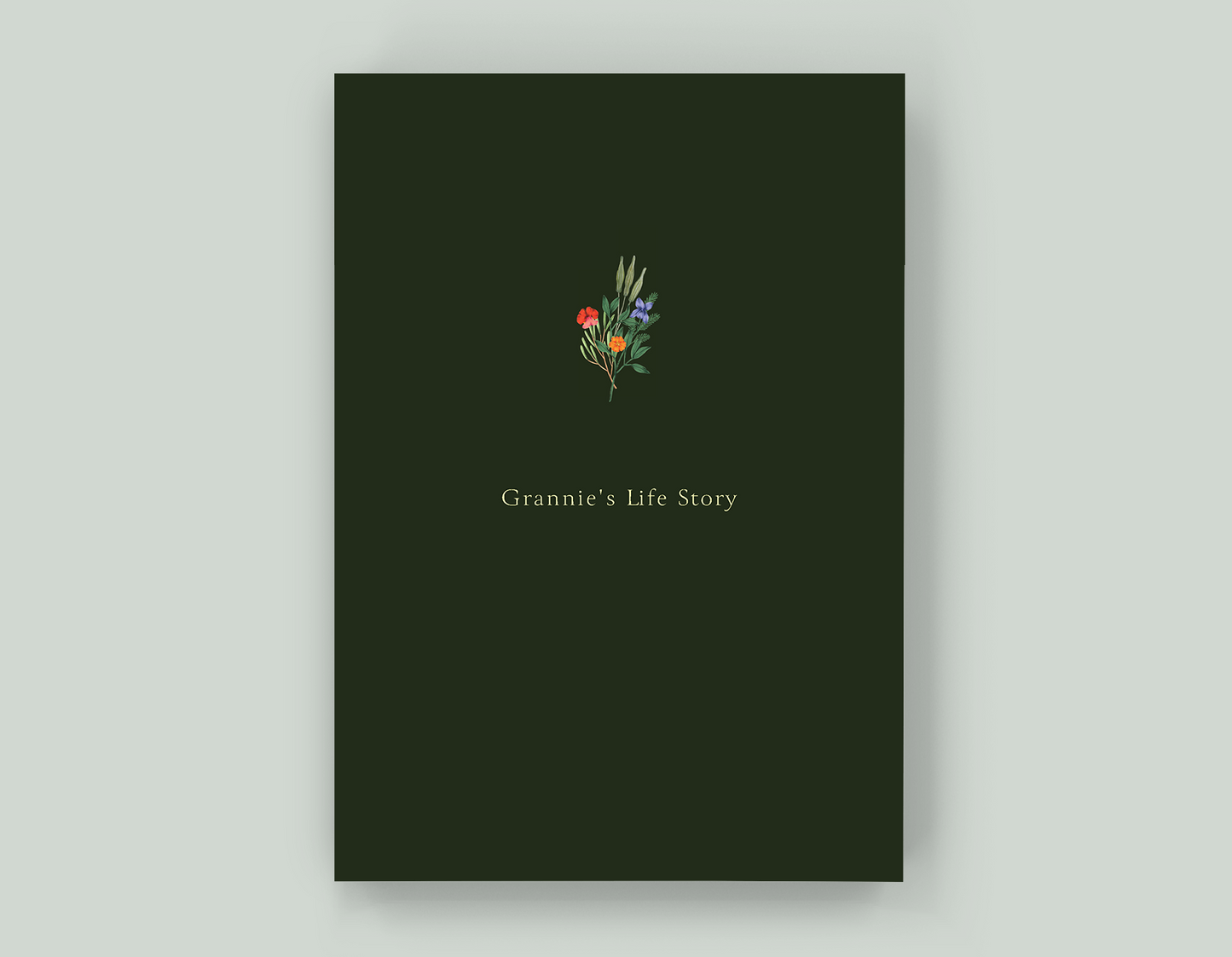 Grannie's Life Story - Paperback