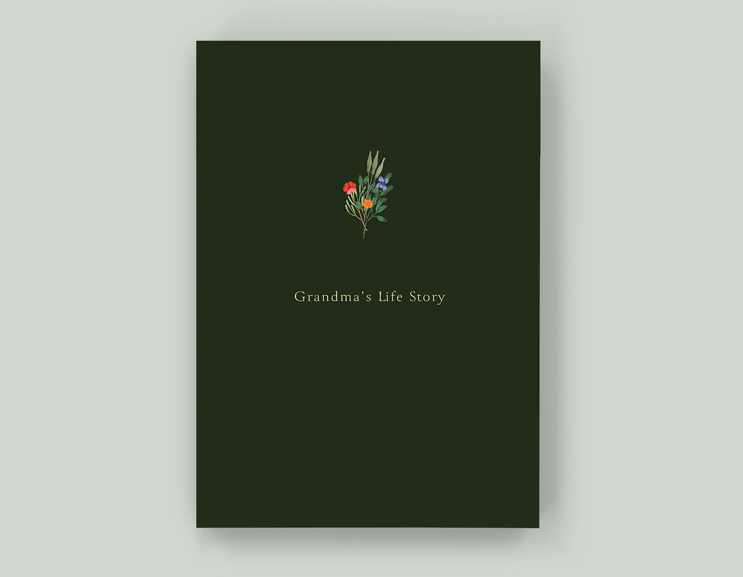 Grandma's Life Story - Paperback