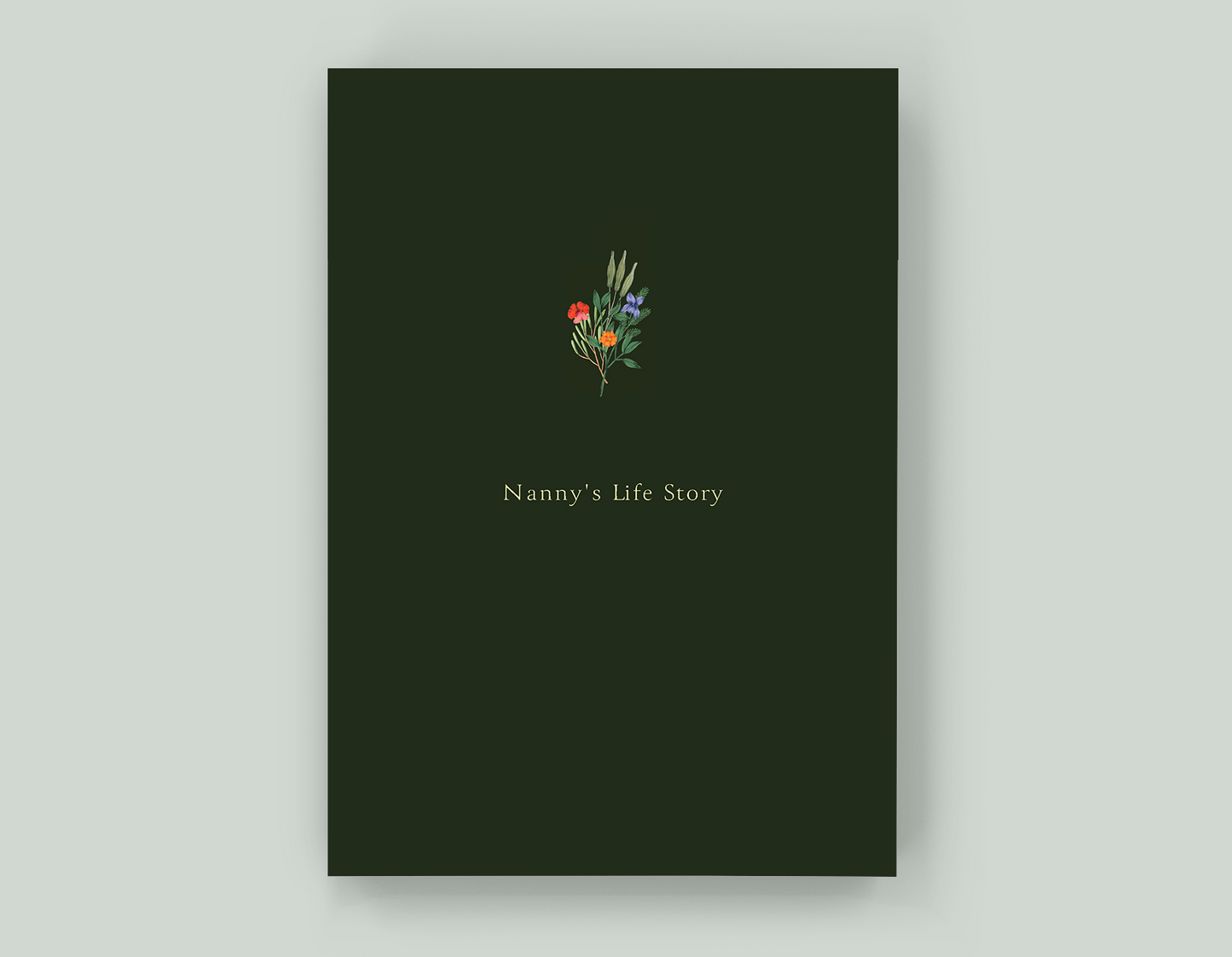 Nanny's Life Story - Paperback