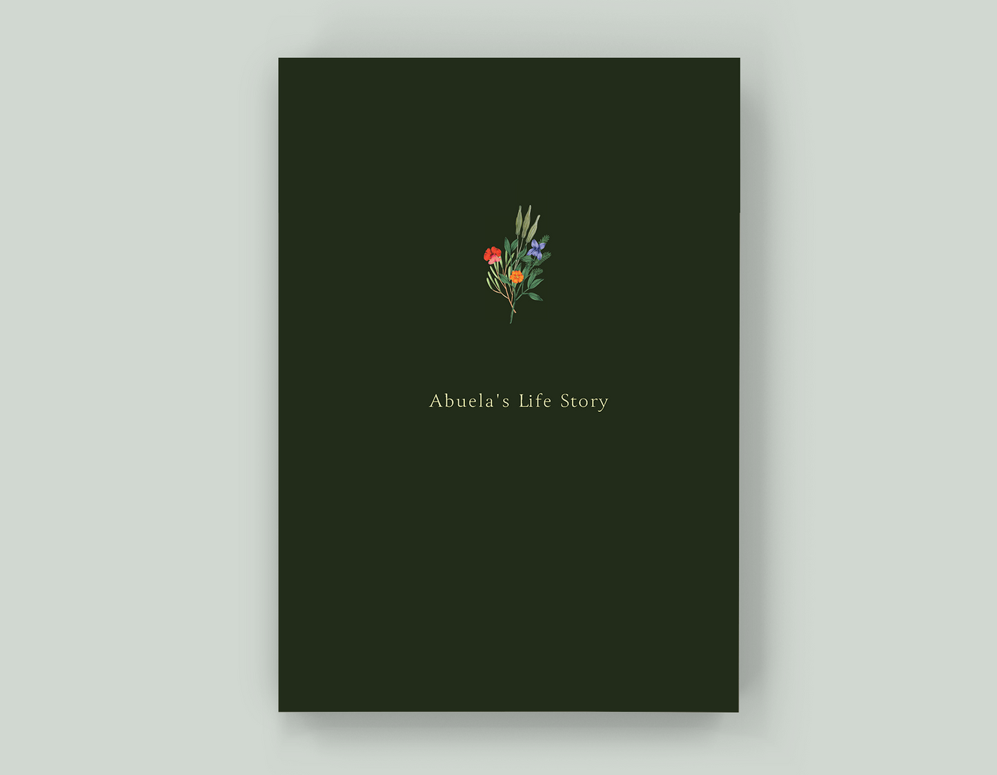 Abuela's Life Story - Paperback