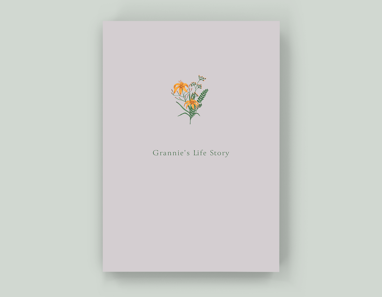 Grannie's Life Story - Paperback