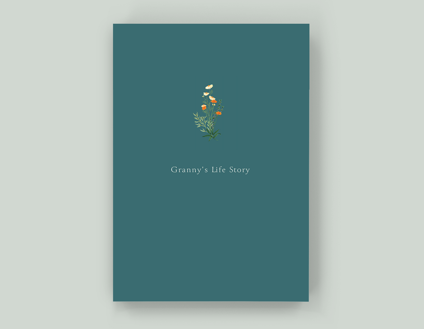 Granny's Life Story - Paperback