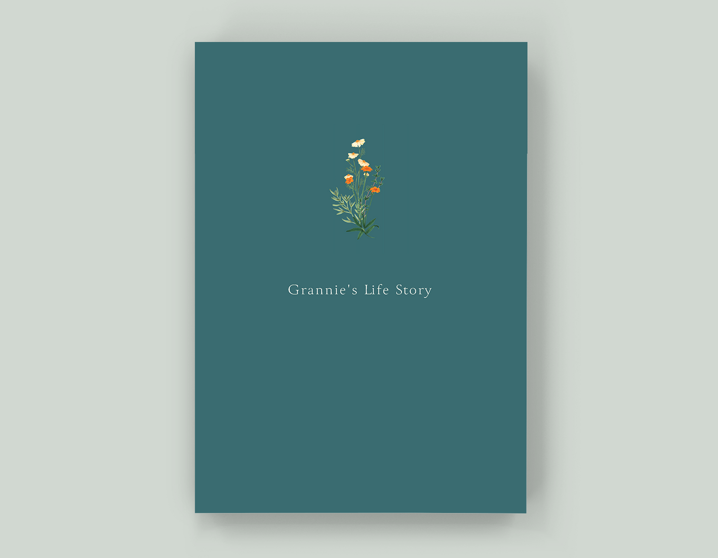 Grannie's Life Story - Paperback