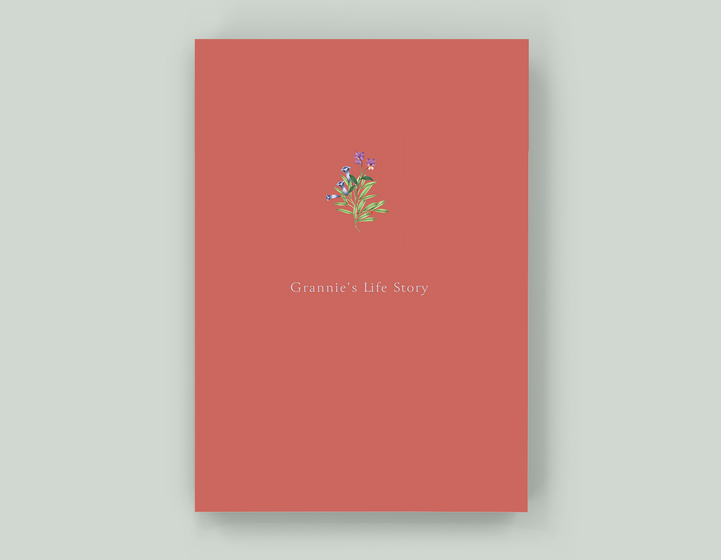 Grannie's Life Story - Paperback