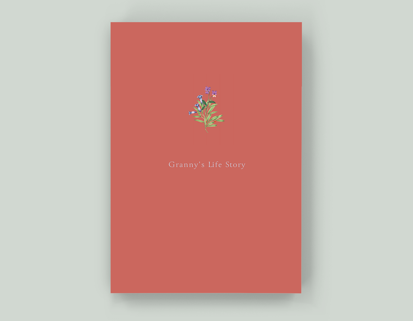 Granny's Life Story - Paperback