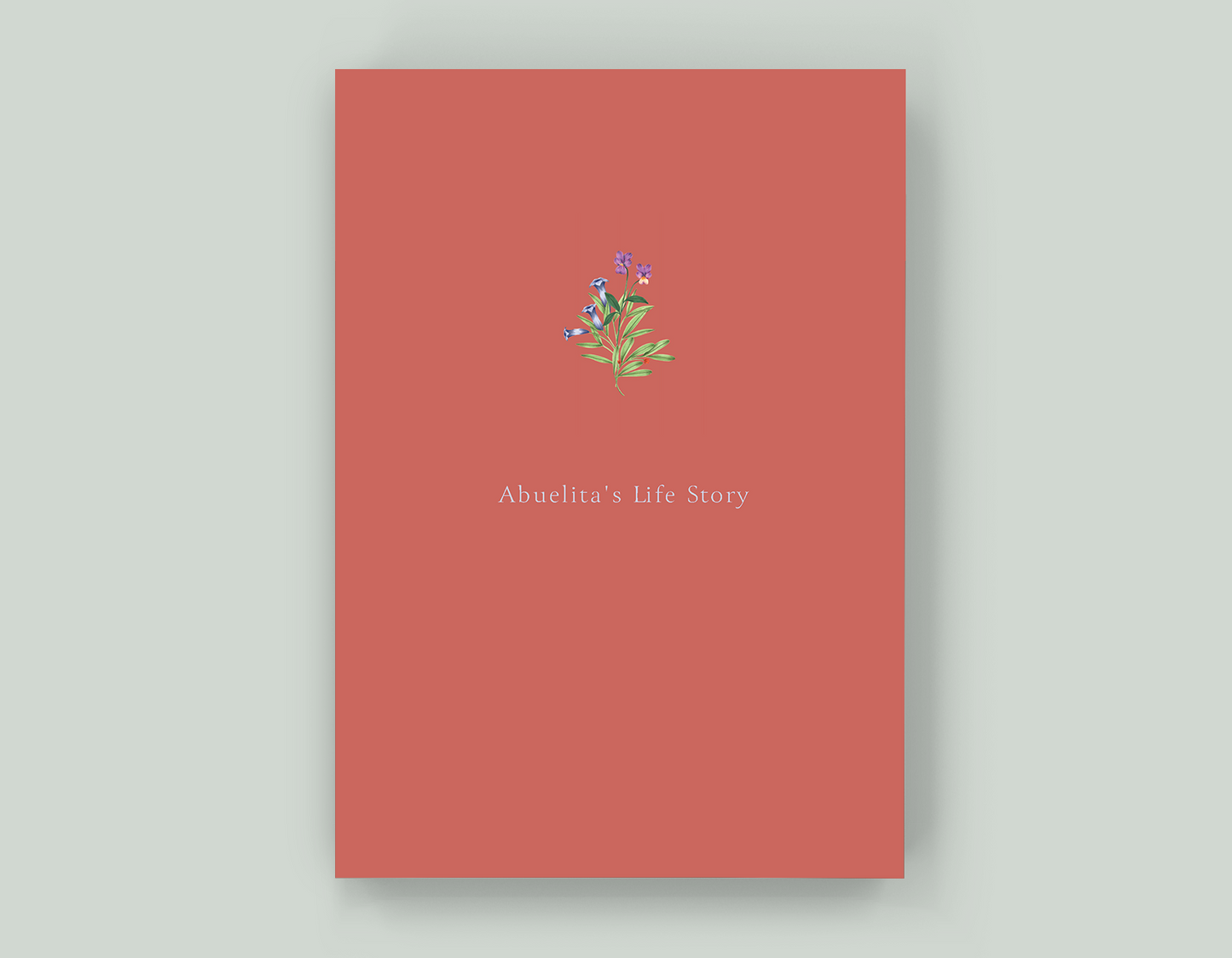 Abuelita's Life Story - Paperback