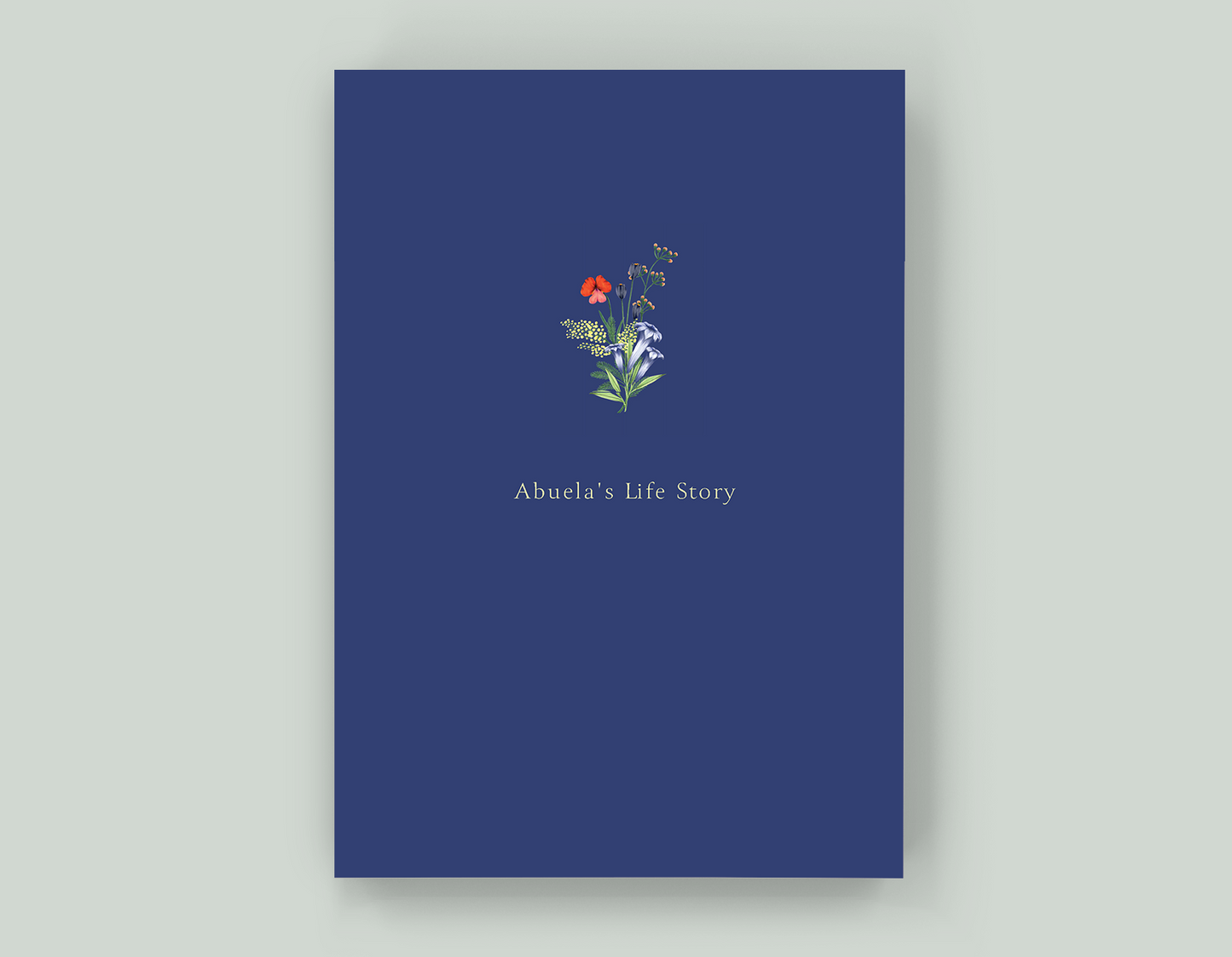 Abuela's Life Story - Paperback