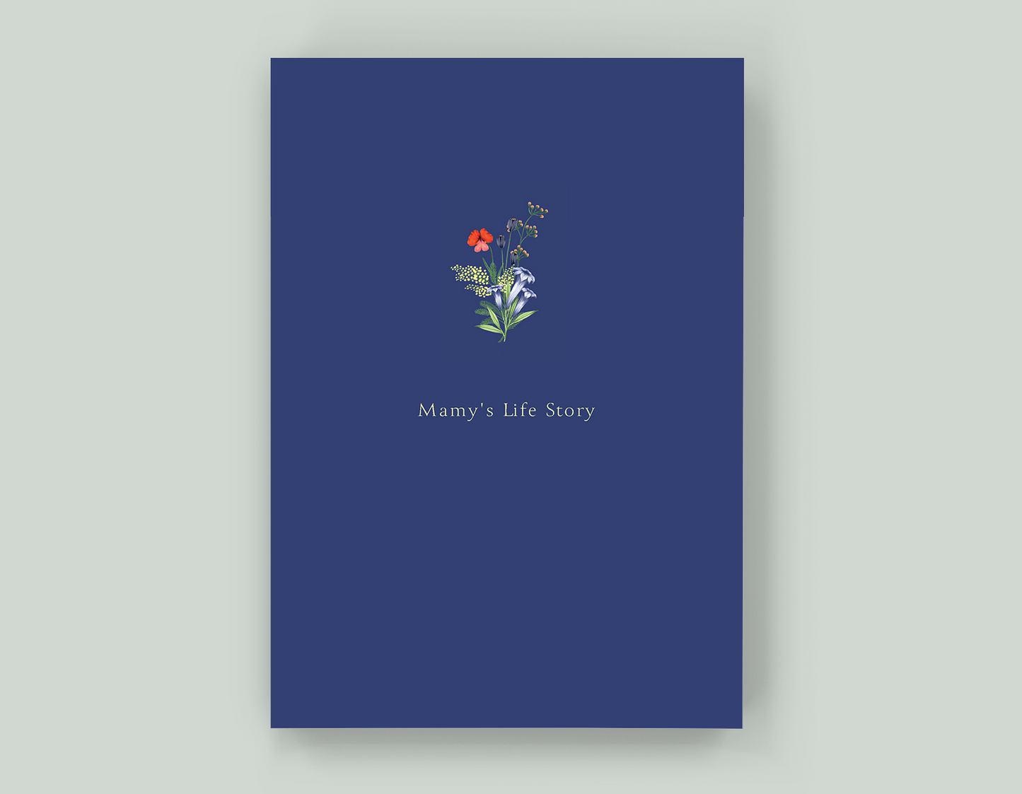 Mamy's Life Story - Paperback