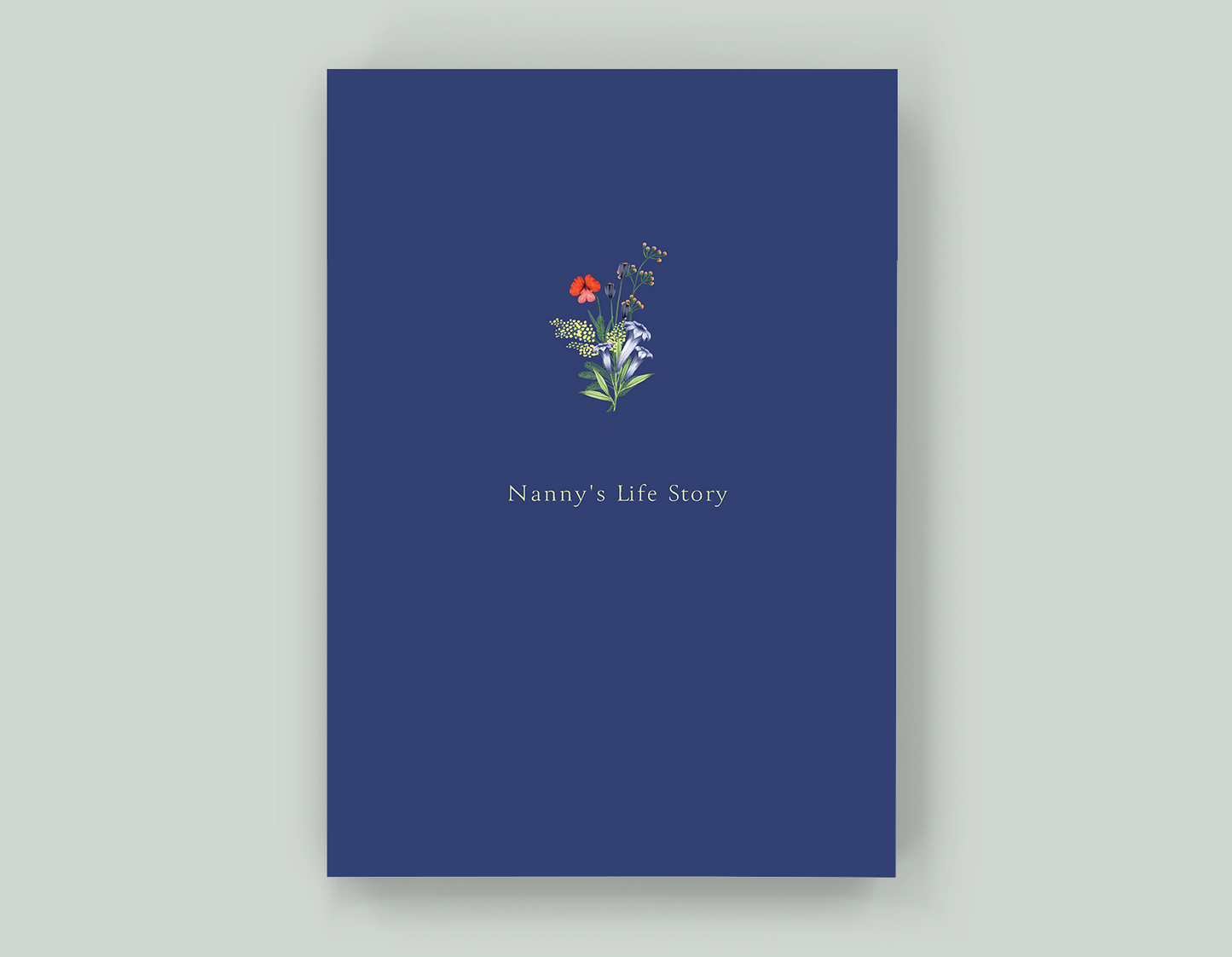 Nanny's Life Story - Paperback