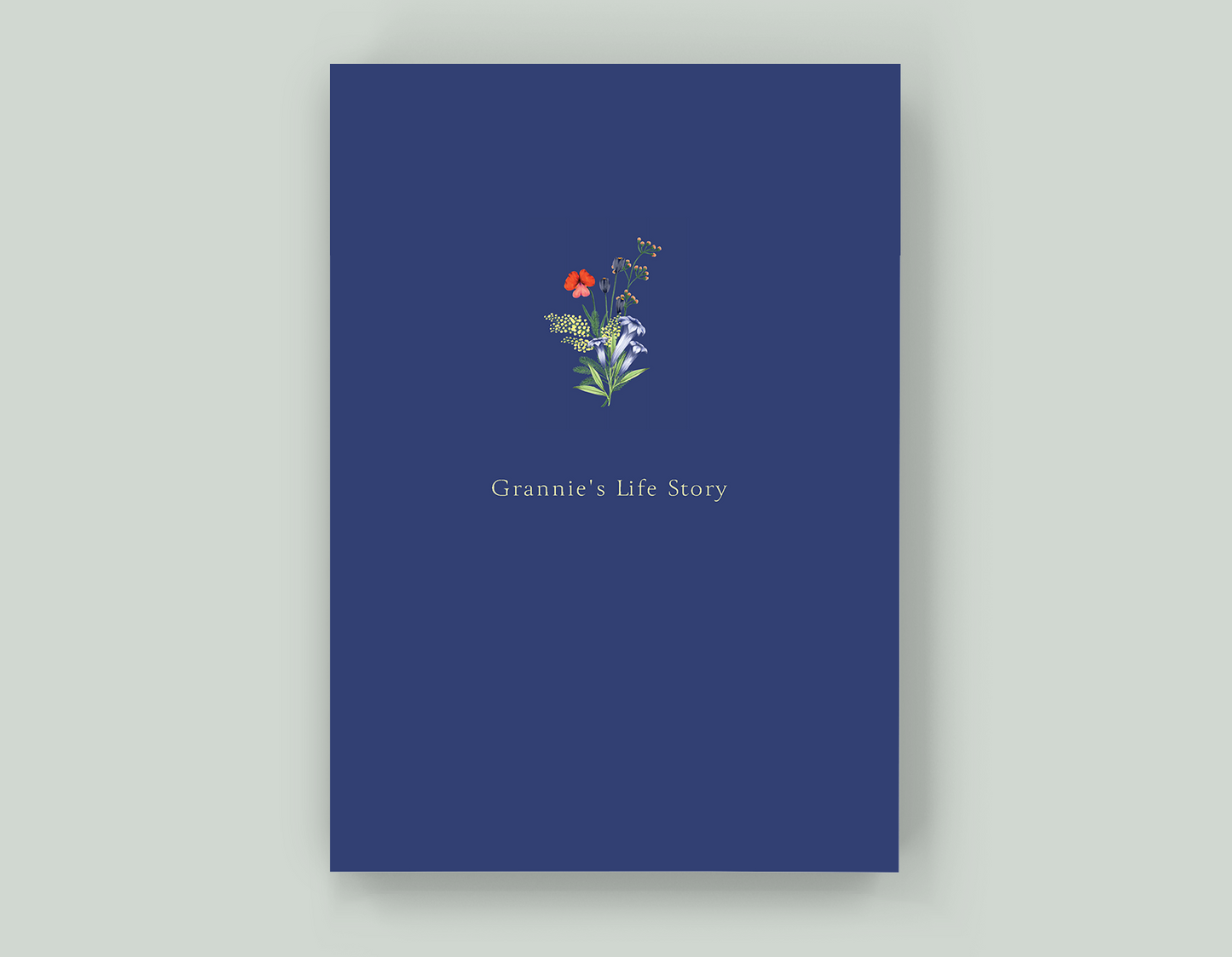 Grannie's Life Story - Paperback