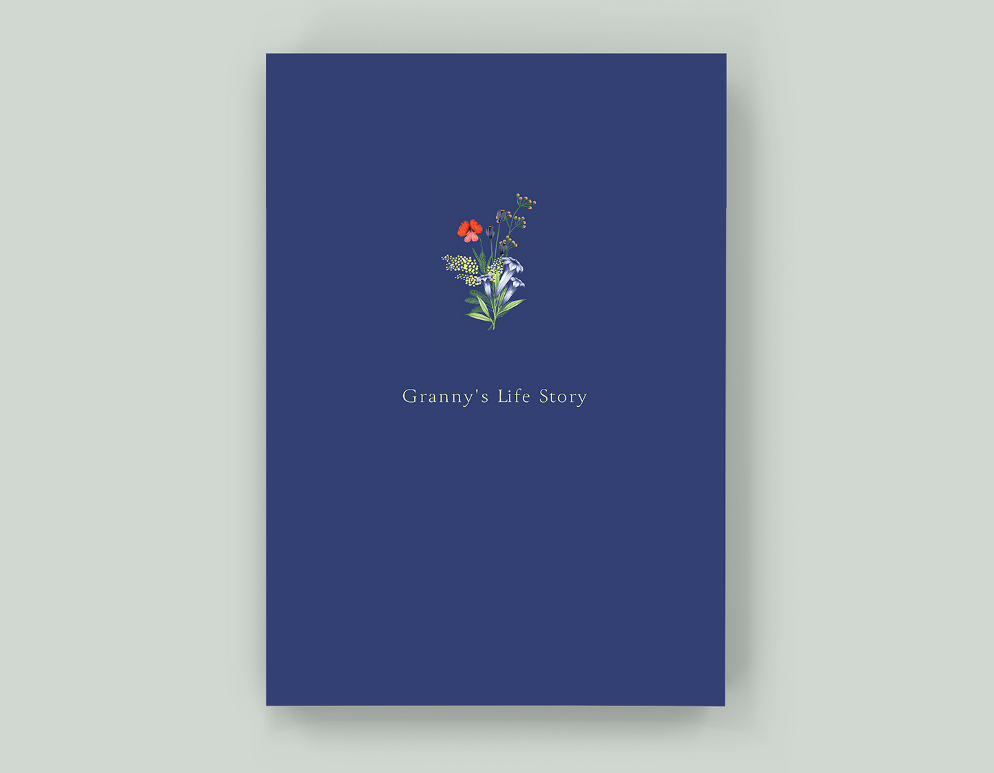 Granny's Life Story - Paperback