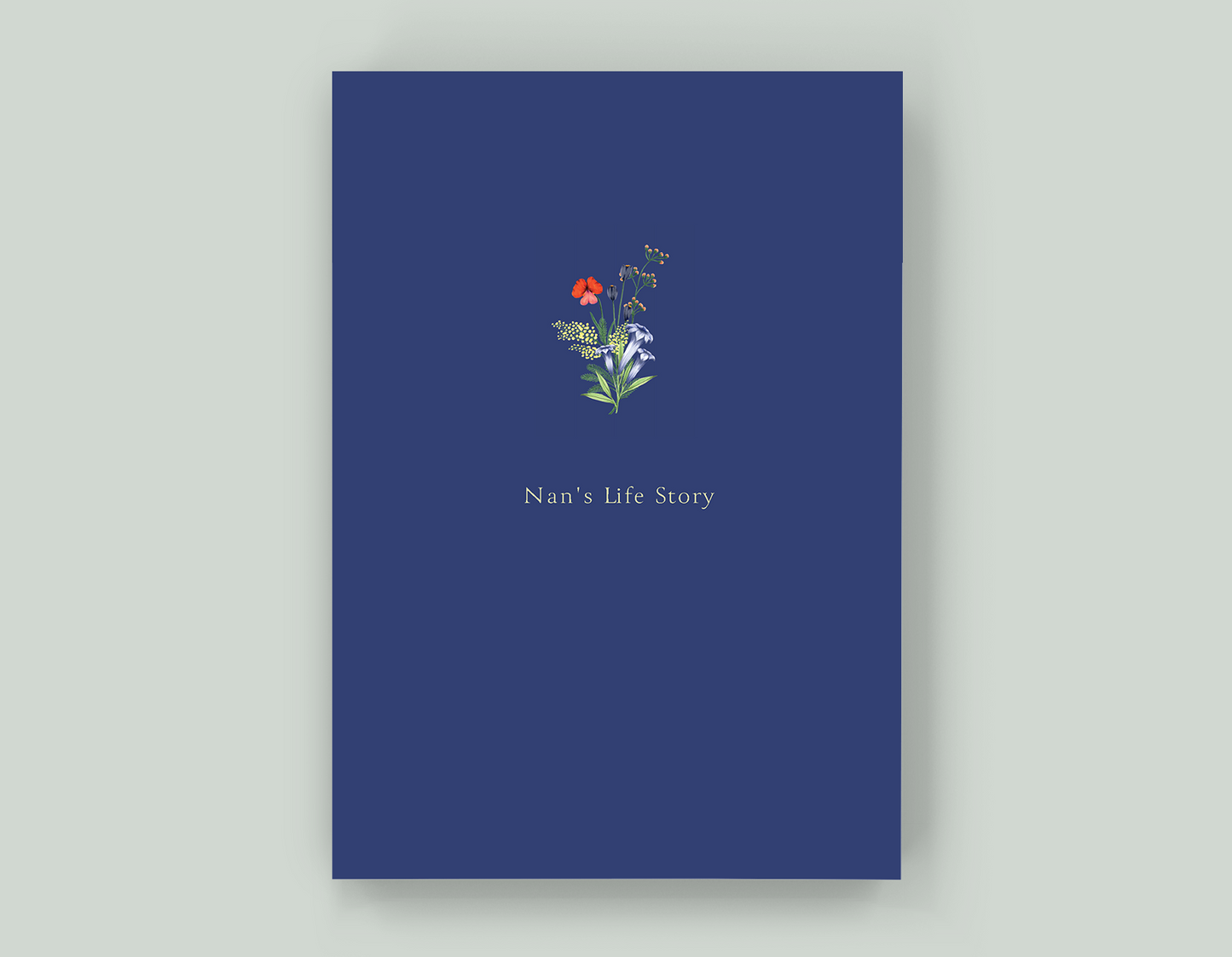 Nan's Life Story - Paperback