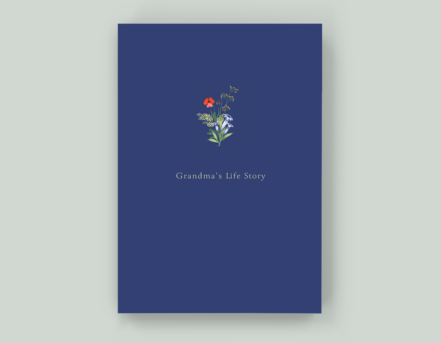 Grandma's Life Story - Paperback