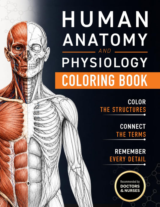 Human Anatomy and Physiology Coloring Book: A Visual Guide to the Structures and Systems of the Human Body