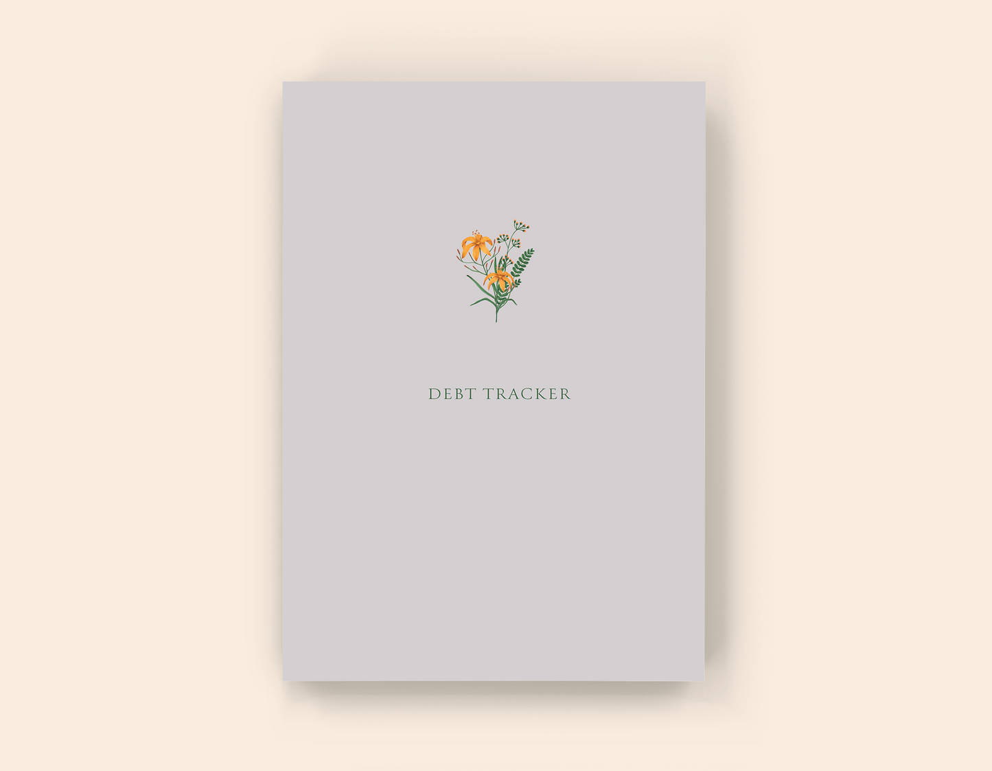Debt Tracker - Paperback