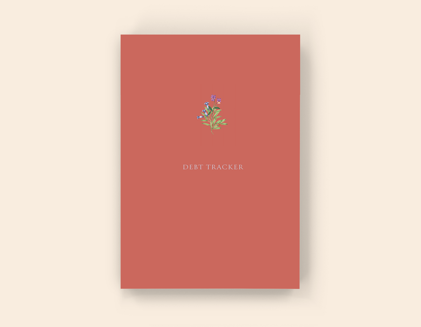 Debt Tracker - Paperback