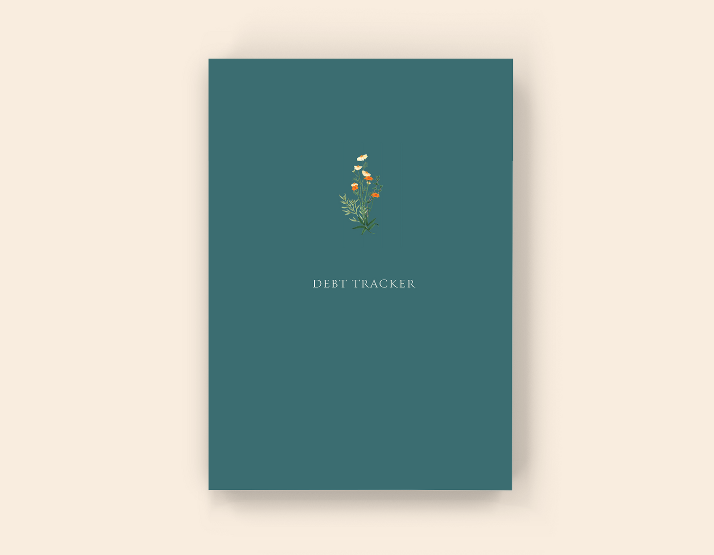 Debt Tracker - Paperback