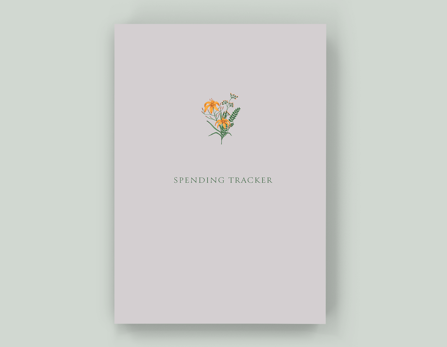 Spending Tracker - Paperback