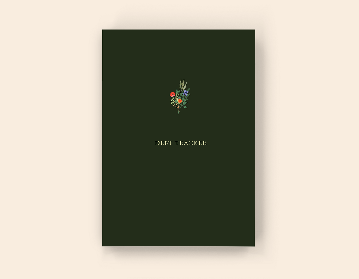 Debt Tracker - Paperback