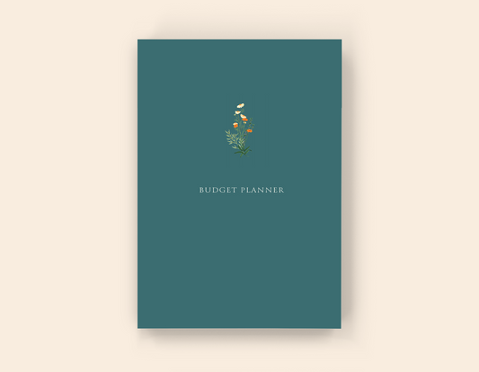 Budget Planner - Paperback