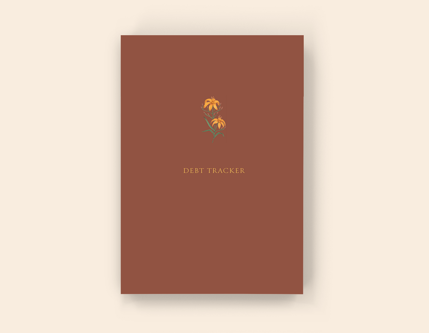 Debt Tracker - Paperback